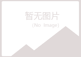 白银平川南松金融有限公司